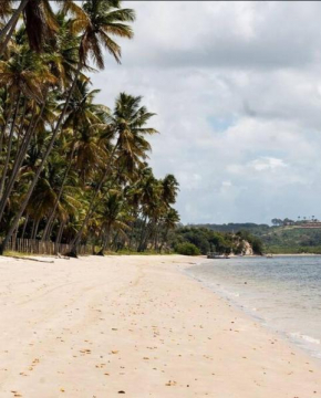 Praia dos Carneiros - Amura
